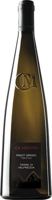 Buy Ca'Montini Pinot Grigio Terre Di Valfredda Trentino 2023 750ML Online -Craft City