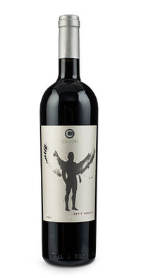 Buy Casadei Petit Verdot Di Toscana Filare 41 2017 750ML Online -Craft City
