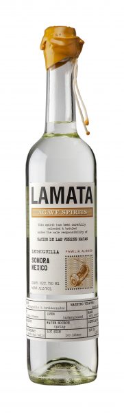 Buy Destilado de Agave Lechuguilla 'Sonora' Online – Craft City
