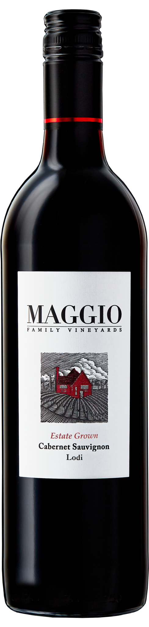 Buy Maggio Cabernet Sauvignon 750ML Online -Craft City