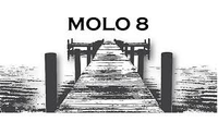 Buy Molo 8 Lambrusco Mantovano 750ML Online -Craft City