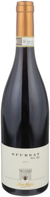 Buy Nino Negri Sfursat Di Valtellina 2017 750ML Online -Craft City