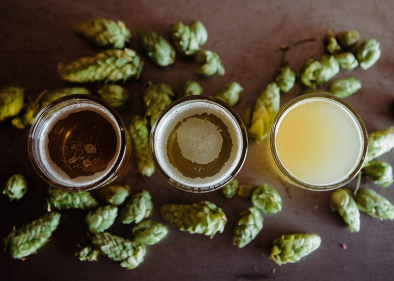 Stout & Porter