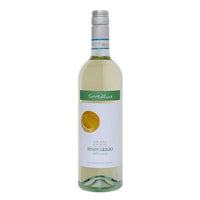 Buy Torre Di Luna Pinot Grigio Delle Venezie In The Shadow Of The Moon 2023 750ML Online -Craft City