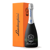 Buy Lamborghini Extra Dry With Flash Light Online -Craft City