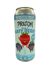 Buy Prison Pals Katy Berry Online -Craft City