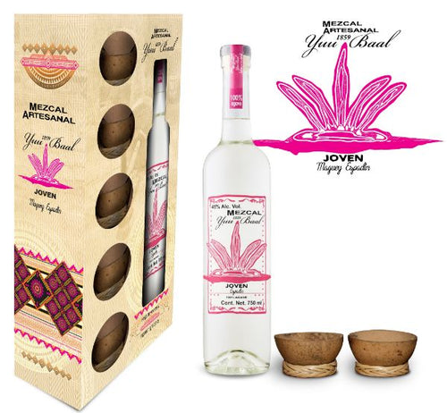 Buy Yuu Baal Joven Espadin Gift Set Online -Craft City