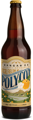 Hangar 24 Polycot 22oz