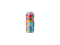 Nova Kombucha Mango & Ginger