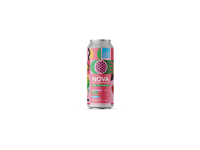 Buy Nova Kombucha Mint & Watermelon Online -Craft City