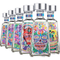 Buy 1800 Essential Artist Series 12: Ral de Nieves Collection Online -Craft City