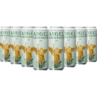 Buy Angel Lime Margarita 8pk by Hailee Steinfeld Online -Craft City
