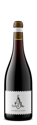 Buy Antiquum Farm Pinot Noir Juel Willamette Valley 2021 750ML Online -Craft City