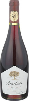 Buy Arboleda Pinot Noir Aconcagua Coast 2020 750ML Online -Craft City