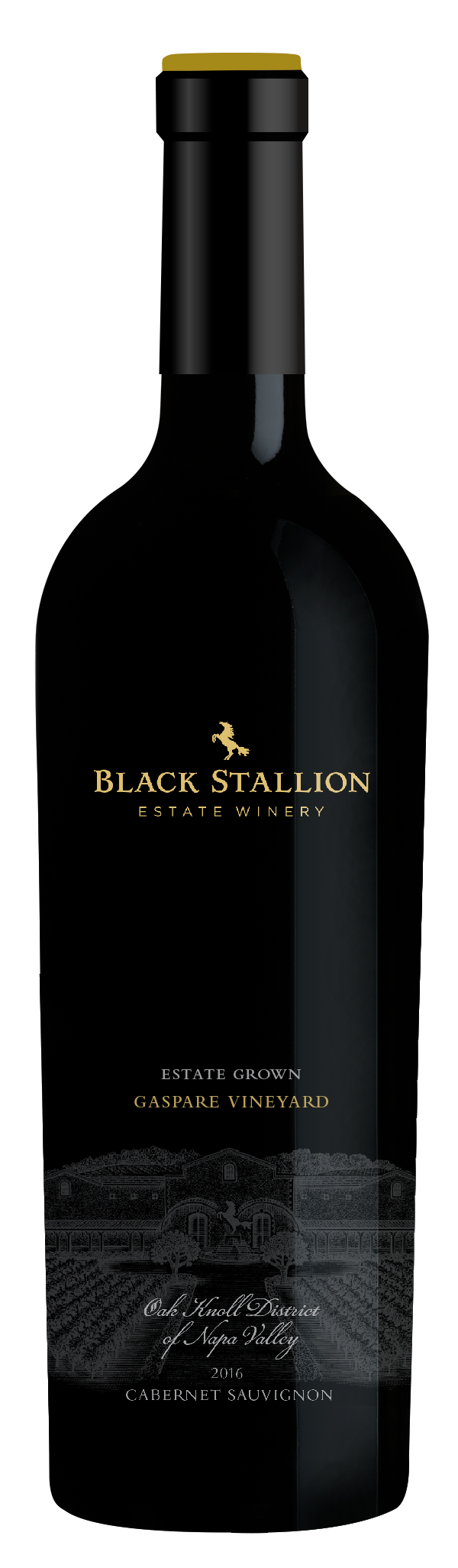 Buy Black Stallion Cabernet Sauvignon Gaspare 21 750ML Online -Craft City