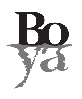 Buy Boya Sauvignon Blanc 24 750ML Online -Craft City