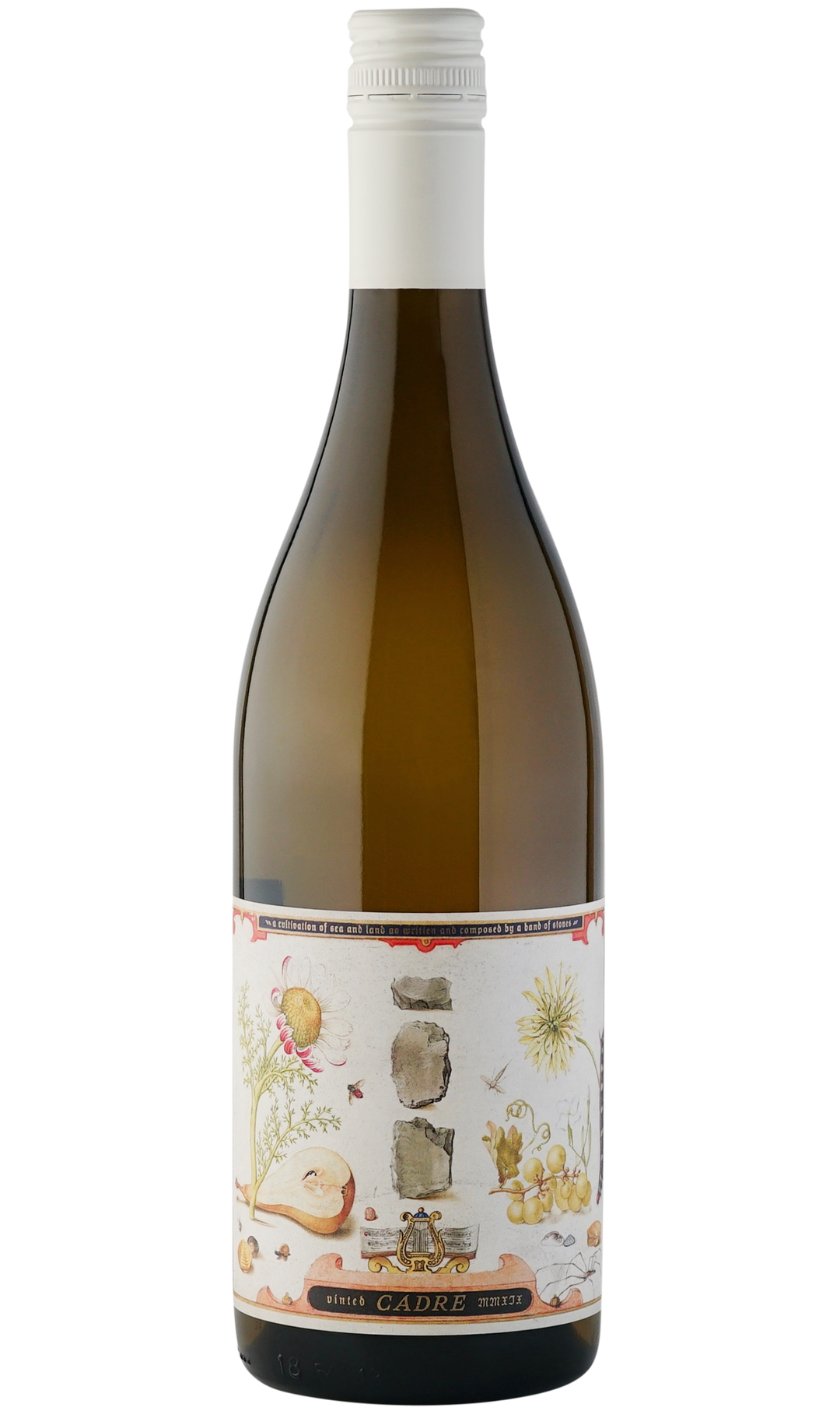 Buy Cadre Gruner Band Stones 23 750ML Online -Craft City
