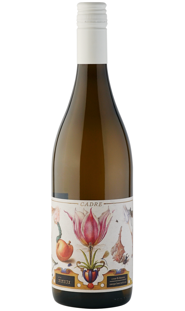 Buy Cadre Sauvignon Blanc Stone Blossom 23 750ML Online -Craft City