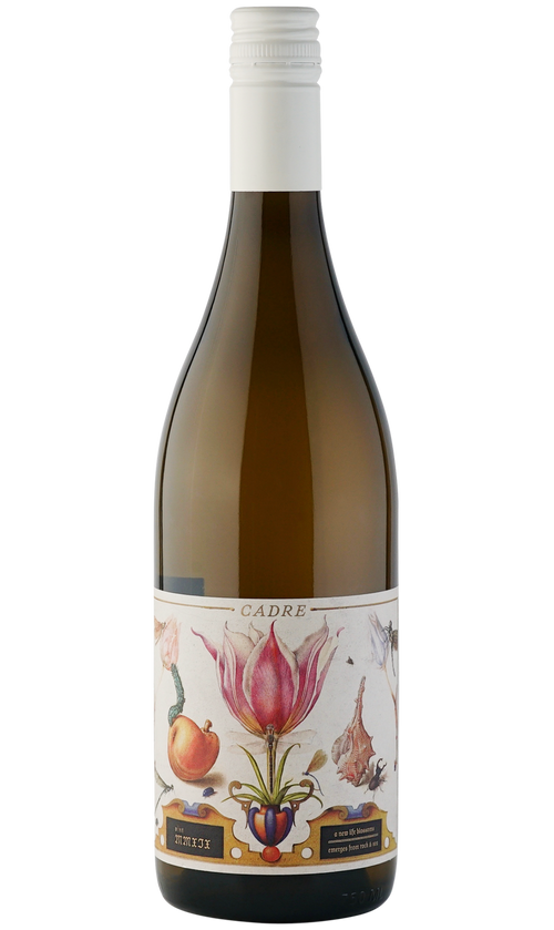 Buy Cadre Sauvignon Blanc Stone Blossom 23 750ML Online -Craft City