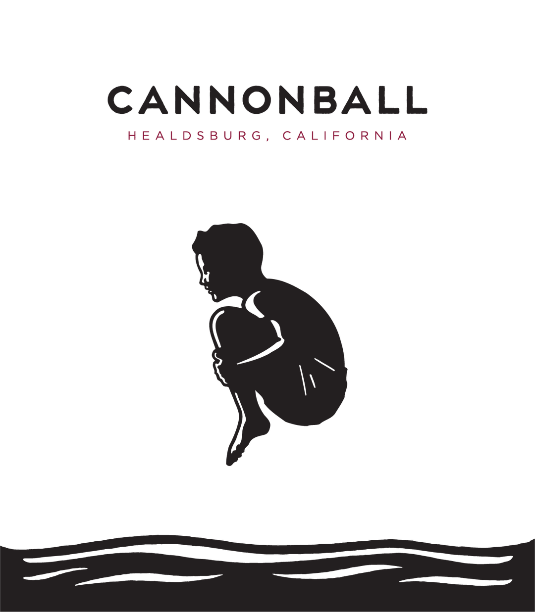 Buy Cannonball Cabernet Sauvignon 22 375ML Online -Craft City