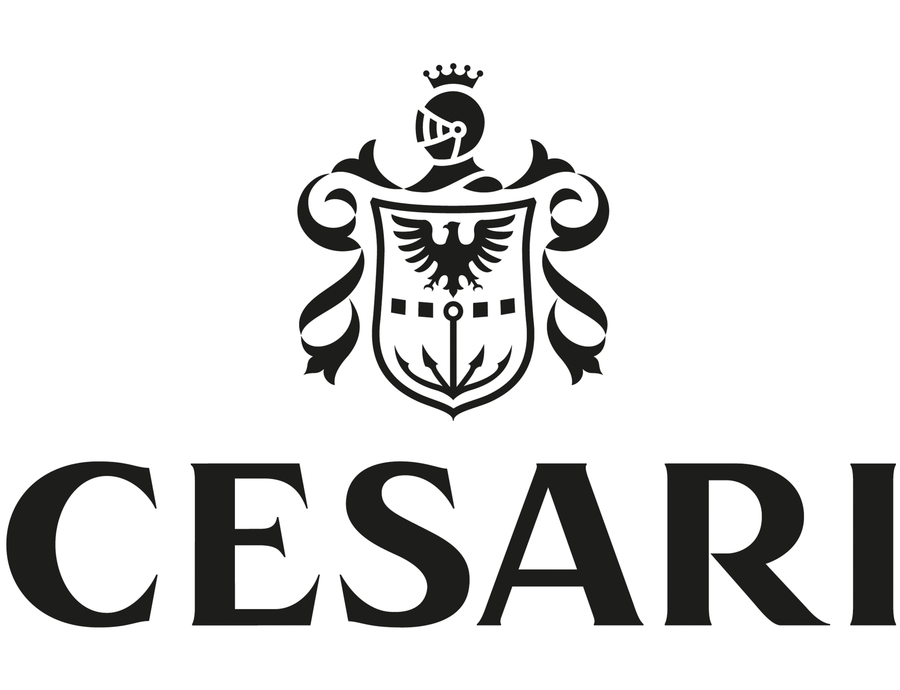 Buy Cesari Fiorile Pinot Grigio Delle Venezie 24 750ML Online -Craft City