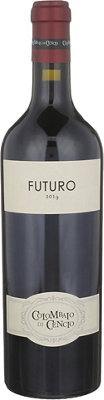 Buy Colombaio Di Cencio Toscana Rosso Futuro 2019 750ML Online -Craft City