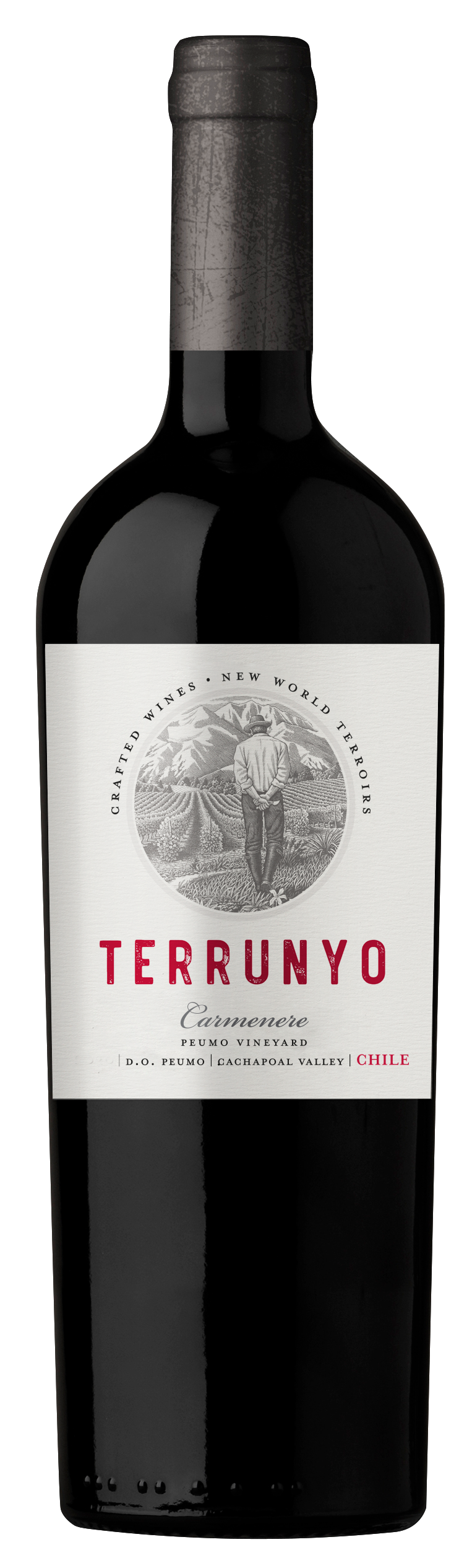 Buy Concha Y Toro Terrunyo Carmenere 750ML Online -Craft City