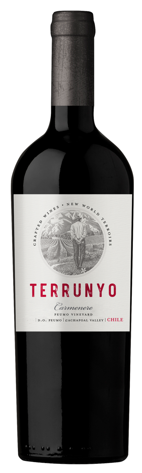 Buy Concha Y Toro Terrunyo Carmenere 750ML Online -Craft City