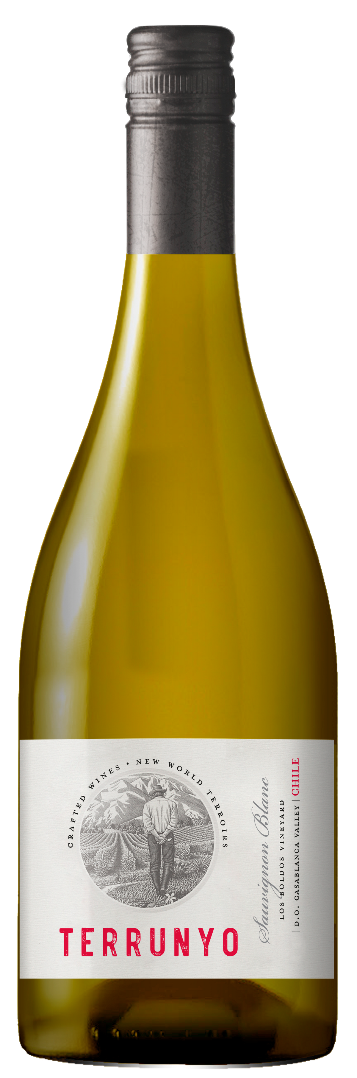 Buy Concha Y Toro Terrunyo Sauvignon Blanc 750ML Online -Craft City