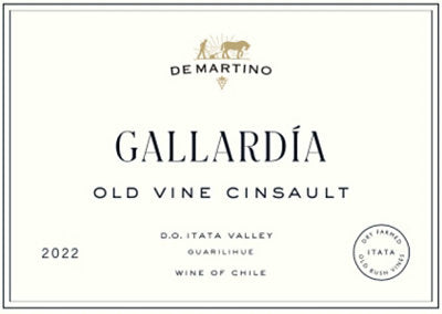 Buy De Martino Cinsault Gallardia Guarilihue Vineyard Itata Valley 2022 750ML Online -Craft City
