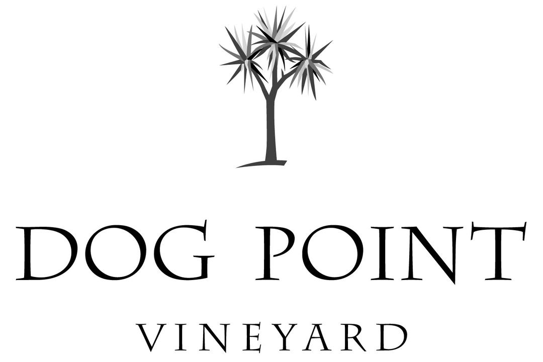 Buy Dog Point Sauvignon Blanc 24 750ML Online -Craft City