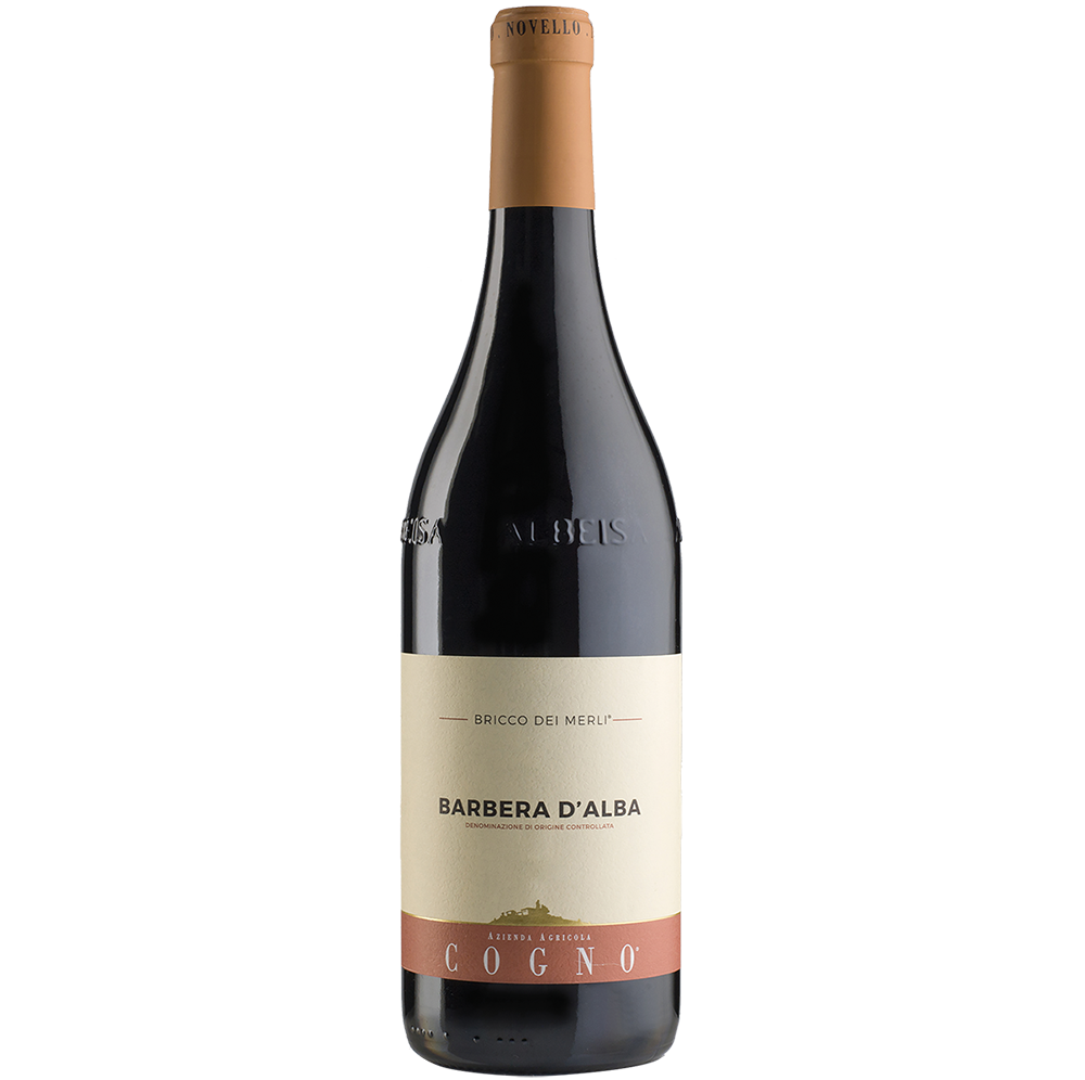 Buy Elvio Cogno Bricco Merli Barbera d'Alba 22 750ML Online -Craft City