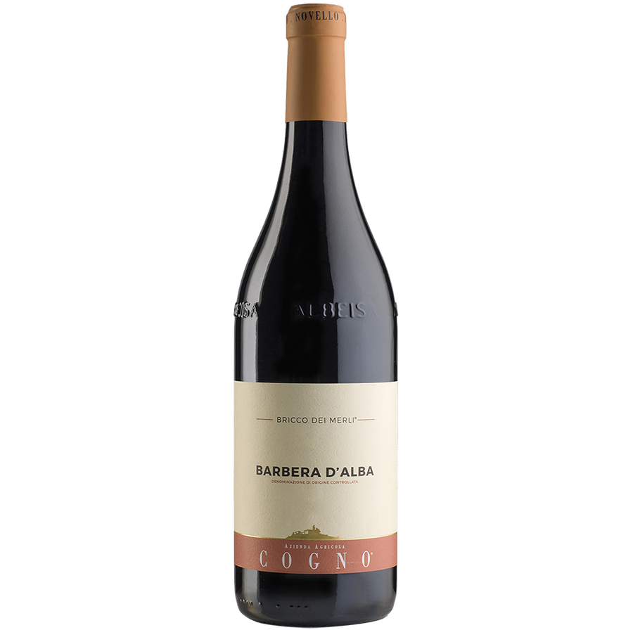 Buy Elvio Cogno Bricco Merli Barbera d'Alba 22 750ML Online -Craft City