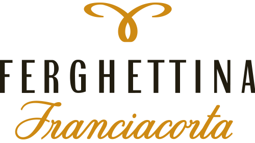 Buy Ferghettina Francia Rose Brut 21 750ML Online -Craft City