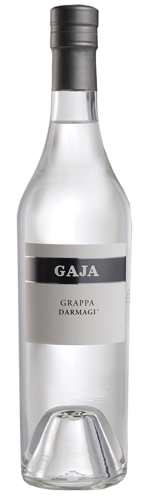 Buy Gaja Grappa Darmagi 375ML Online -Craft City