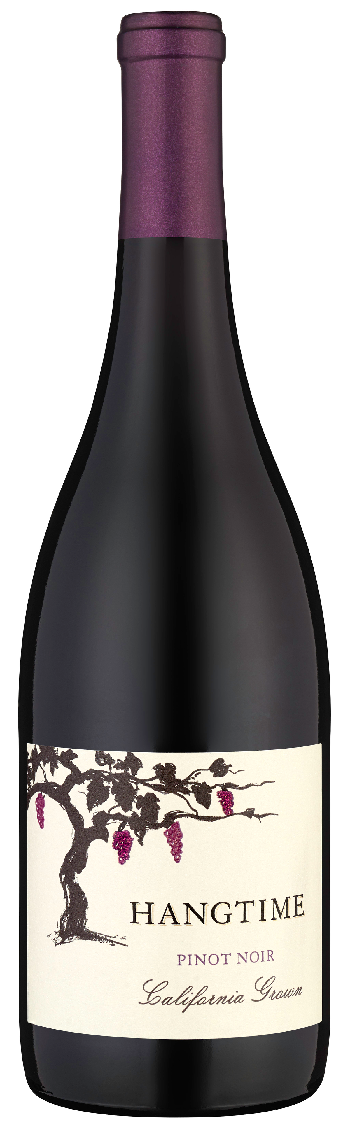 Buy Hangtime Pinot Noir 750ML Online -Craft City
