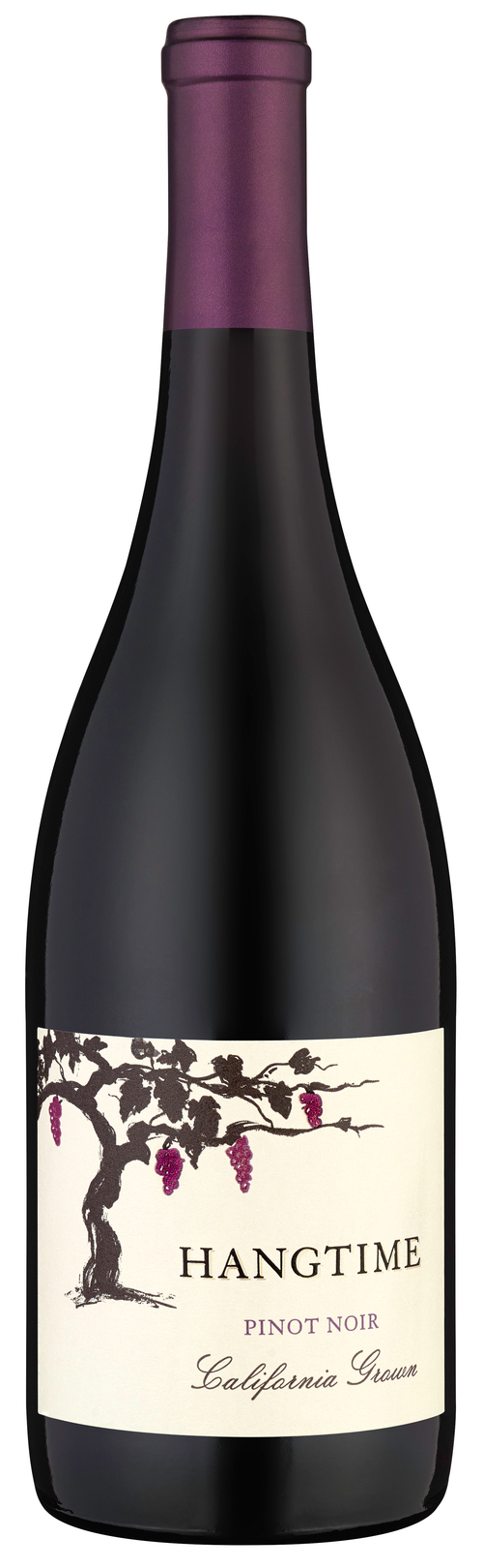 Buy Hangtime Pinot Noir 750ML Online -Craft City