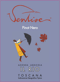 Buy Il Rio Ventisei Pinot Nero 2020 750ML Online -Craft City