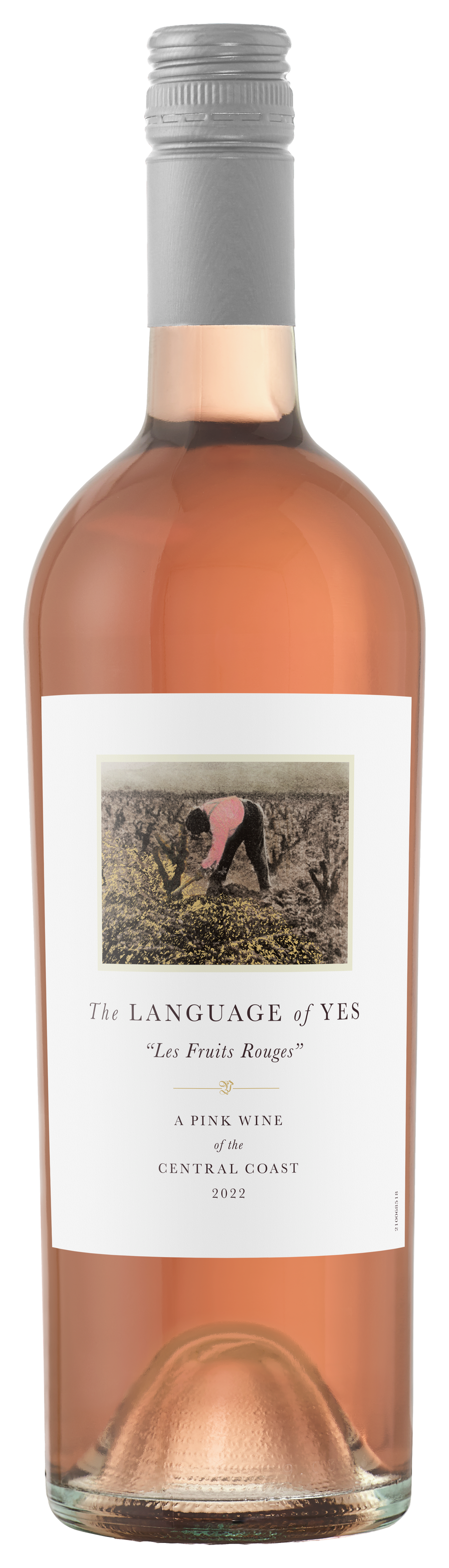 Buy Language Of Yes Rose Central Coast 23 750ML Online -Craft City