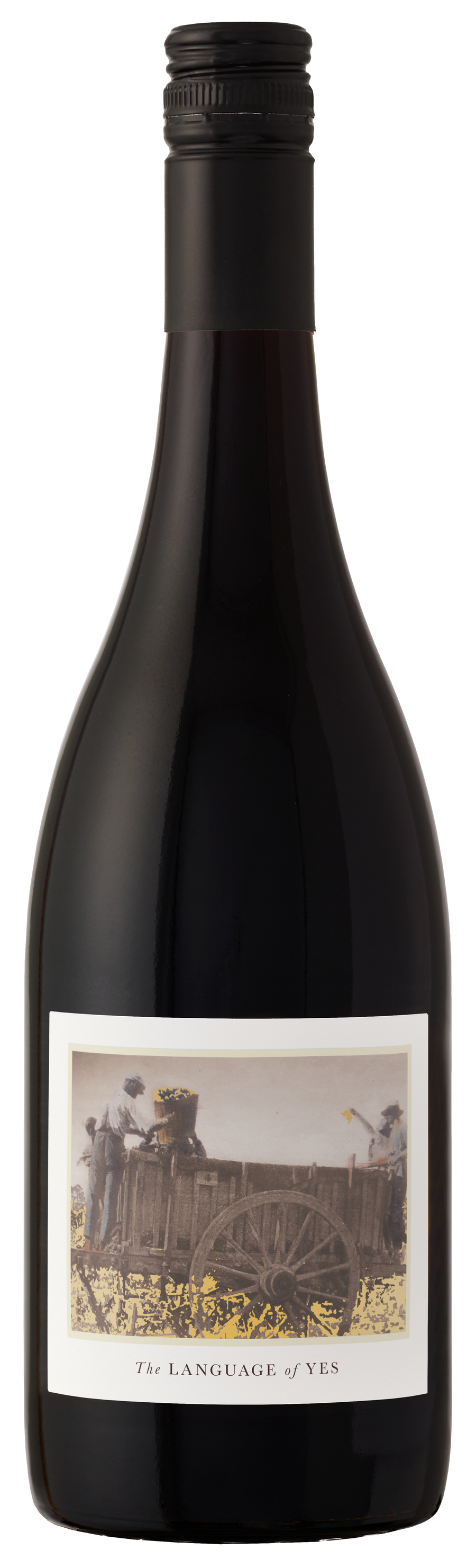 Buy Language Of Yes Syrah Maria 21 750ML Online -Craft City