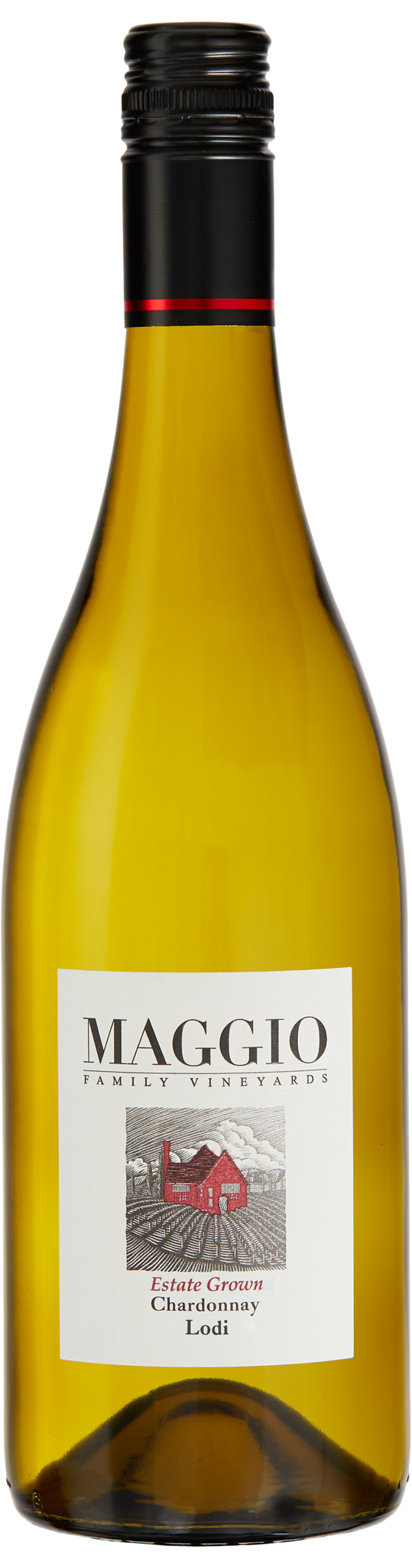 Buy Maggio Chardonnay 750ML Online -Craft City