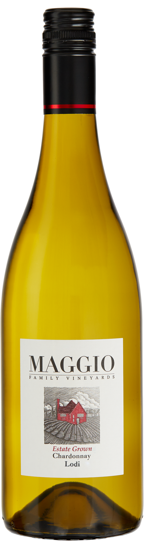Buy Maggio Chardonnay 750ML Online -Craft City