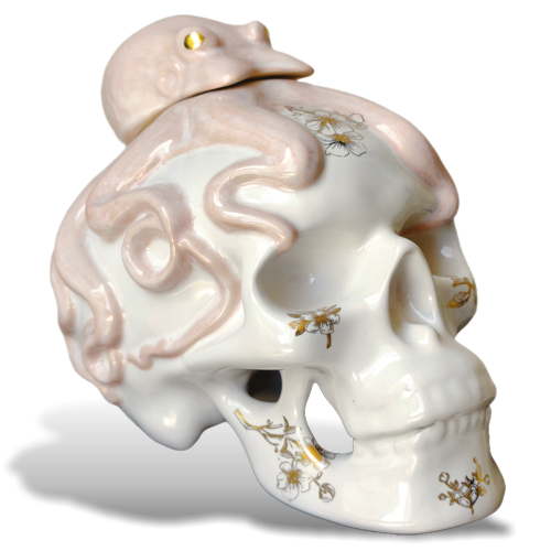 Buy Octo Blue Añejo Cristalino Online -Craft City