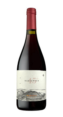 Buy Otronia Pinot Noir Rugientes 45 Patagonia 2020 750ML Online -Craft City