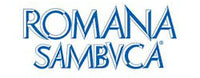 romanalogo