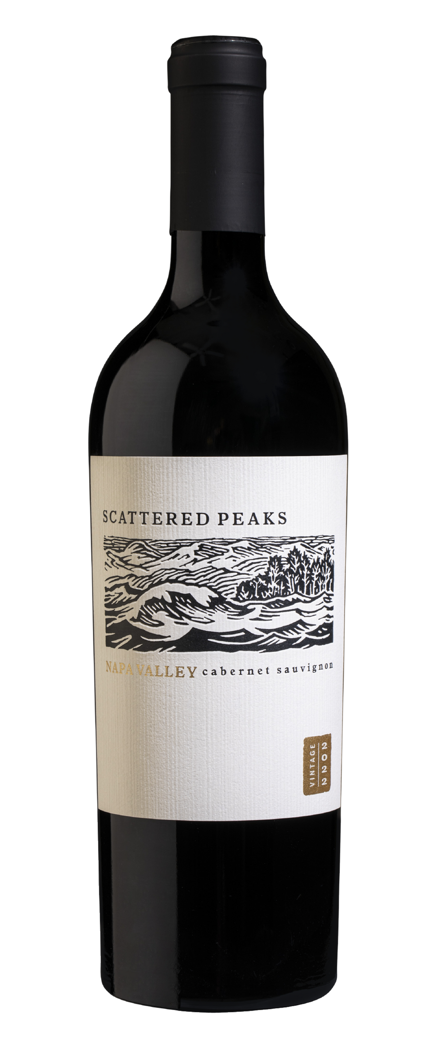 Buy Scattered Peaks Cabernet Sauvignon 22 750ML Online -Craft City