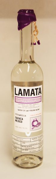 Buy Sotol 'Cucharilla - Oaxaca' Online -Craft City