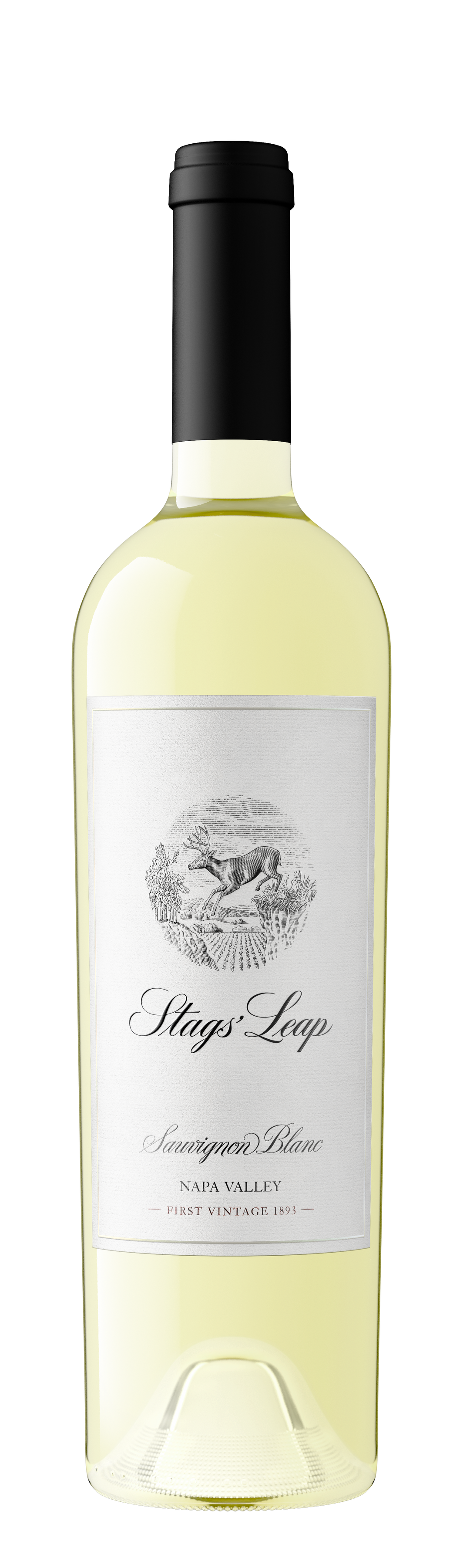 Buy Stags' Leap Sauvignon Blanc 23 750ML Online -Craft City