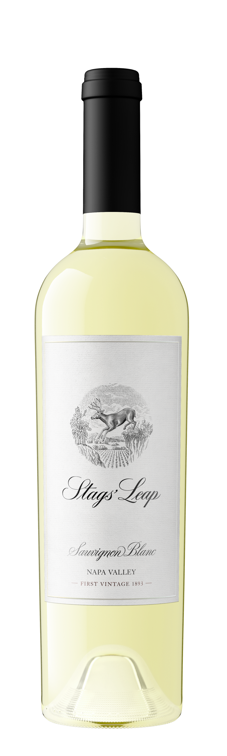 Buy Stags' Leap Sauvignon Blanc 23 750ML Online -Craft City