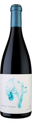 Buy Summer Dreams Pinot Noir Stargazing Sonoma Coast 2022 750ML Online -Craft City